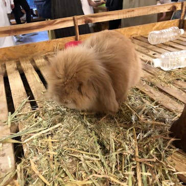 伊豆シャボテン動物公園に投稿された画像（2022/5/4）