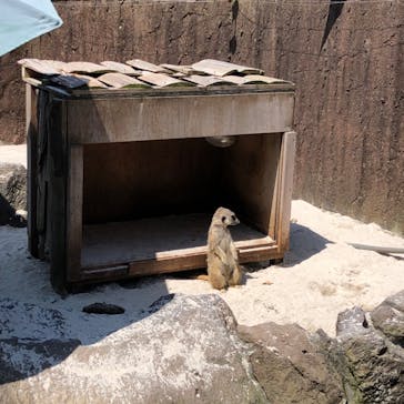 伊豆シャボテン動物公園に投稿された画像（2022/5/4）
