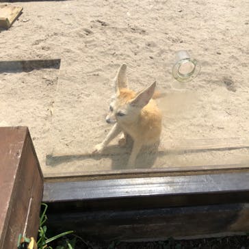 伊豆シャボテン動物公園に投稿された画像（2022/5/4）