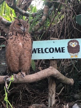 伊豆シャボテン動物公園に投稿された画像（2022/5/4）