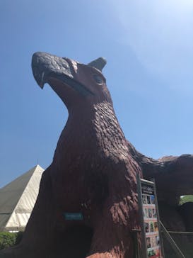 伊豆シャボテン動物公園に投稿された画像（2022/5/4）