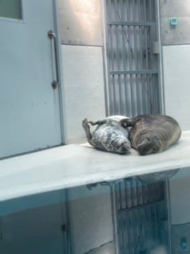 大分マリーンパレス水族館 「うみたまご」に投稿された画像（2022/5/4）