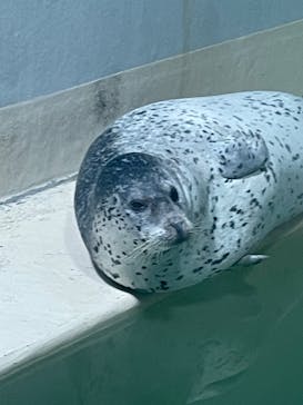 大分マリーンパレス水族館 「うみたまご」に投稿された画像（2022/5/4）
