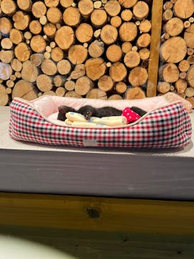 奥飛騨クマ牧場に投稿された画像（2022/5/4）