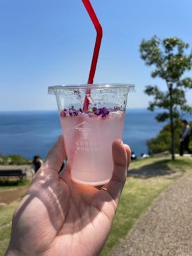 ACAO FORESTに投稿された画像（2022/5/4）