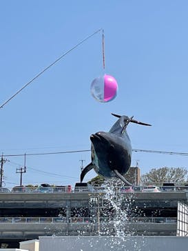 越前松島水族館に投稿された画像（2022/5/4）