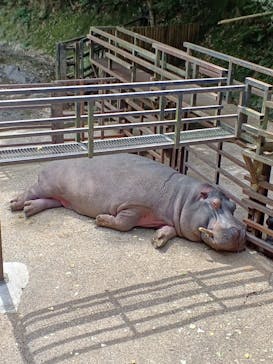 長崎バイオパークに投稿された画像（2022/5/4）