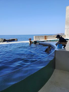 城崎マリンワールドに投稿された画像（2022/5/4）