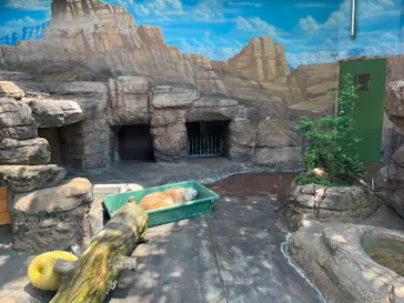 天王寺動物園に投稿された画像（2022/5/4）