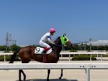 園田競馬場に投稿された画像（2022/5/4）