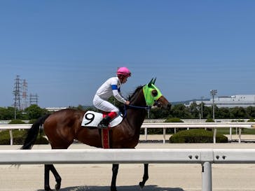 園田競馬場に投稿された画像（2022/5/4）