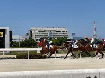 園田競馬場に投稿された画像（2022/5/4）