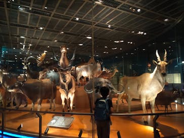 国立科学博物館に投稿された画像（2022/5/4）