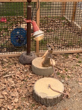 しろとり動物園に投稿された画像（2022/5/4）