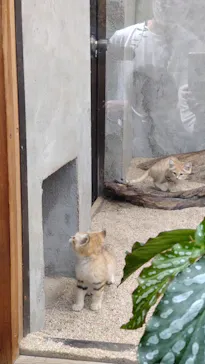 神戸どうぶつ王国に投稿された画像（2022/5/4）