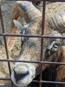 那須サファリパークに投稿された画像（2022/5/4）