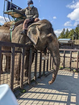 那須サファリパークに投稿された画像（2022/5/4）