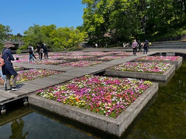 とっとり花回廊に投稿された画像（2022/5/4）