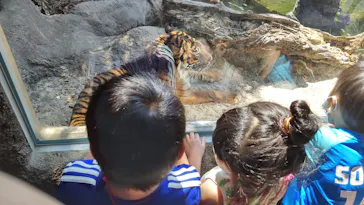 神戸どうぶつ王国に投稿された画像（2022/5/4）