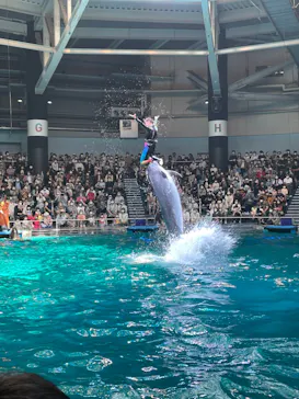 マクセル アクアパーク品川に投稿された画像（2022/5/4）
