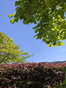 彫刻の森美術館に投稿された画像（2022/5/4）