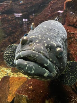 株式会社Gに投稿された画像（2022/5/4）