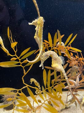 株式会社Gに投稿された画像（2022/5/4）