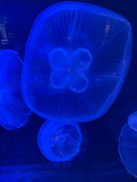 株式会社Gに投稿された画像（2022/5/4）