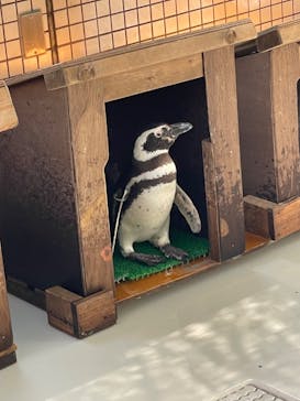 株式会社Gに投稿された画像（2022/5/4）