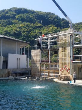 城崎マリンワールドに投稿された画像（2022/5/4）