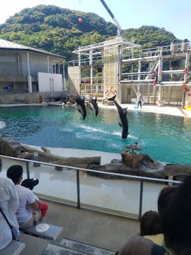 城崎マリンワールドに投稿された画像（2022/5/4）