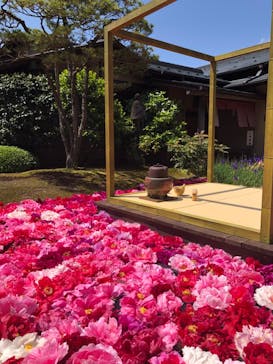 日本庭園　由志園に投稿された画像（2022/5/4）
