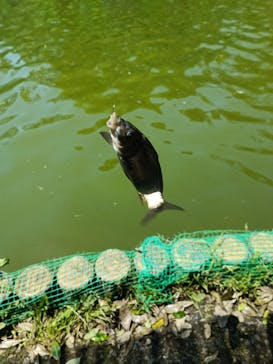 千葉こどもの国 キッズダムに投稿された画像（2022/5/4）