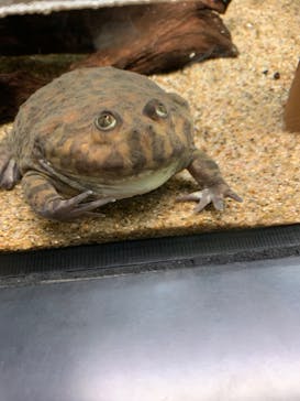 サンシャイン水族館に投稿された画像（2022/5/4）