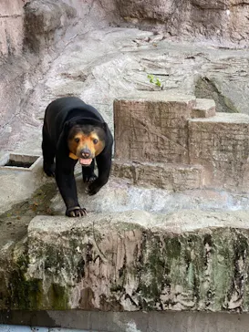 天王寺動物園に投稿された画像（2022/5/4）