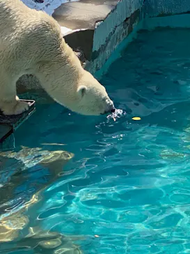 天王寺動物園に投稿された画像（2022/5/4）