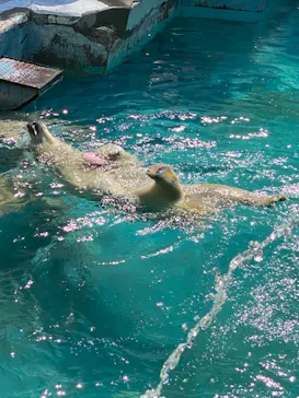天王寺動物園に投稿された画像（2022/5/4）