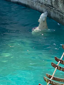 天王寺動物園に投稿された画像（2022/5/4）