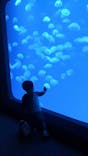 大分マリーンパレス水族館 「うみたまご」に投稿された画像（2022/5/4）