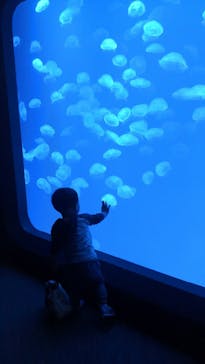 大分マリーンパレス水族館 「うみたまご」に投稿された画像（2022/5/4）