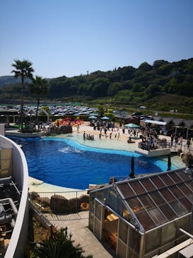 大分マリーンパレス水族館 「うみたまご」に投稿された画像（2022/5/4）