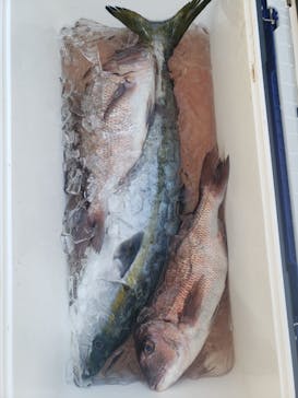 錦フィッシングパークに投稿された画像（2022/5/4）