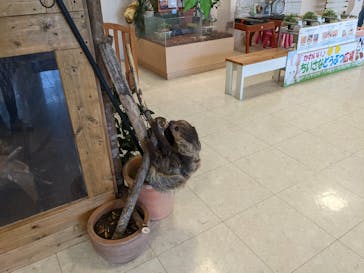 Moff animal world BIGHOPガーデンモール印西店に投稿された画像（2022/5/4）
