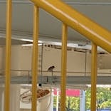 鈴鹿サーキットに投稿された画像（2022/5/4）