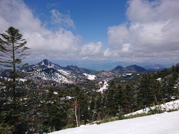 横手山・渋峠スキー場に投稿された画像（2022/5/4）
