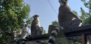 神戸どうぶつ王国に投稿された画像（2022/5/4）