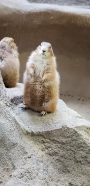 神戸どうぶつ王国に投稿された画像（2022/5/4）