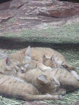 那須どうぶつ王国に投稿された画像（2022/5/4）