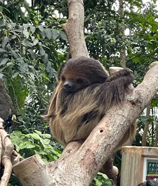 神戸どうぶつ王国に投稿された画像（2022/5/4）