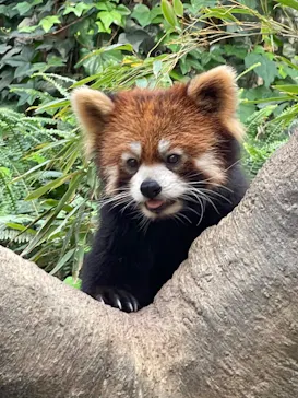 神戸どうぶつ王国に投稿された画像（2022/5/4）